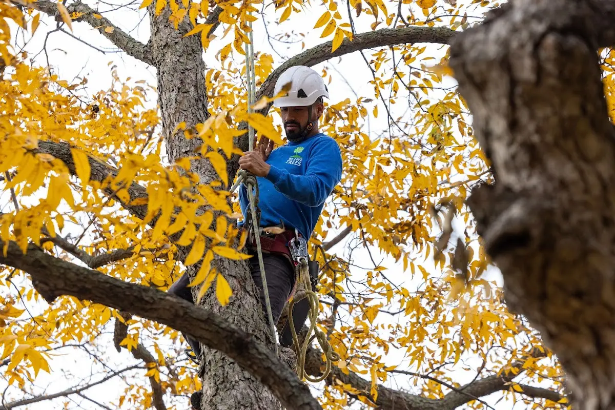 Skilled Storm Damage Cleanup crew working in Booker